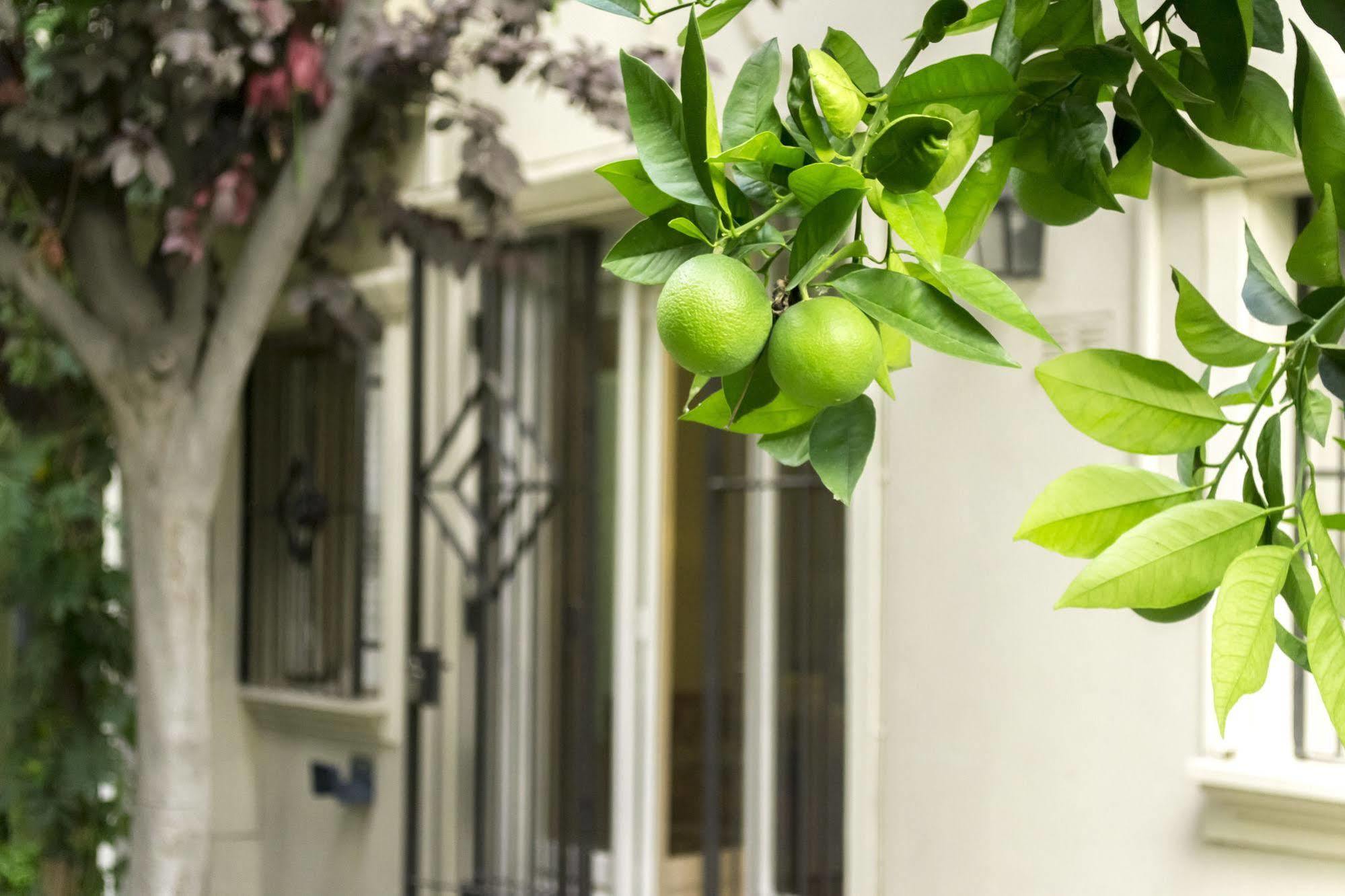 Casa Noble Mendoza Exterior foto